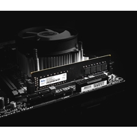 Netac 8GB No Heatsink (1 x 8GB) DDR4 2666MHz DIMM System Memory - Image 7