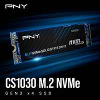 PNY (M280CS1030-500-RB) CS1030 M.2 NVMe 500GB SSD, PCIe Gen3 x4, Sequential Read of up to 2,000 MB/s and Write of up to 1,100 MB/s - Image 4