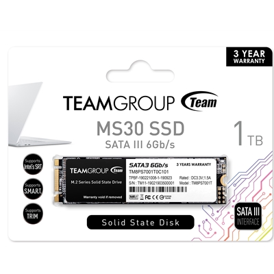 Team MS30 (TM8PS7001T0C101) 1TB, M.2 Sata Interface, PCIe Gen3, Read 530MB/s, Write 480MB/s, 3 Year Warranty - Image 2
