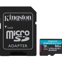 Kingston Canvas Go! Plus SDCG4/256GB 256GB Micro SD Card, UHS-1 (U3)