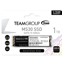 Team MS30 (TM8PS7001T0C101) 1TB, M.2 Sata Interface, PCIe Gen3, Read 530MB/s, Write 480MB/s, 3 Year Warranty