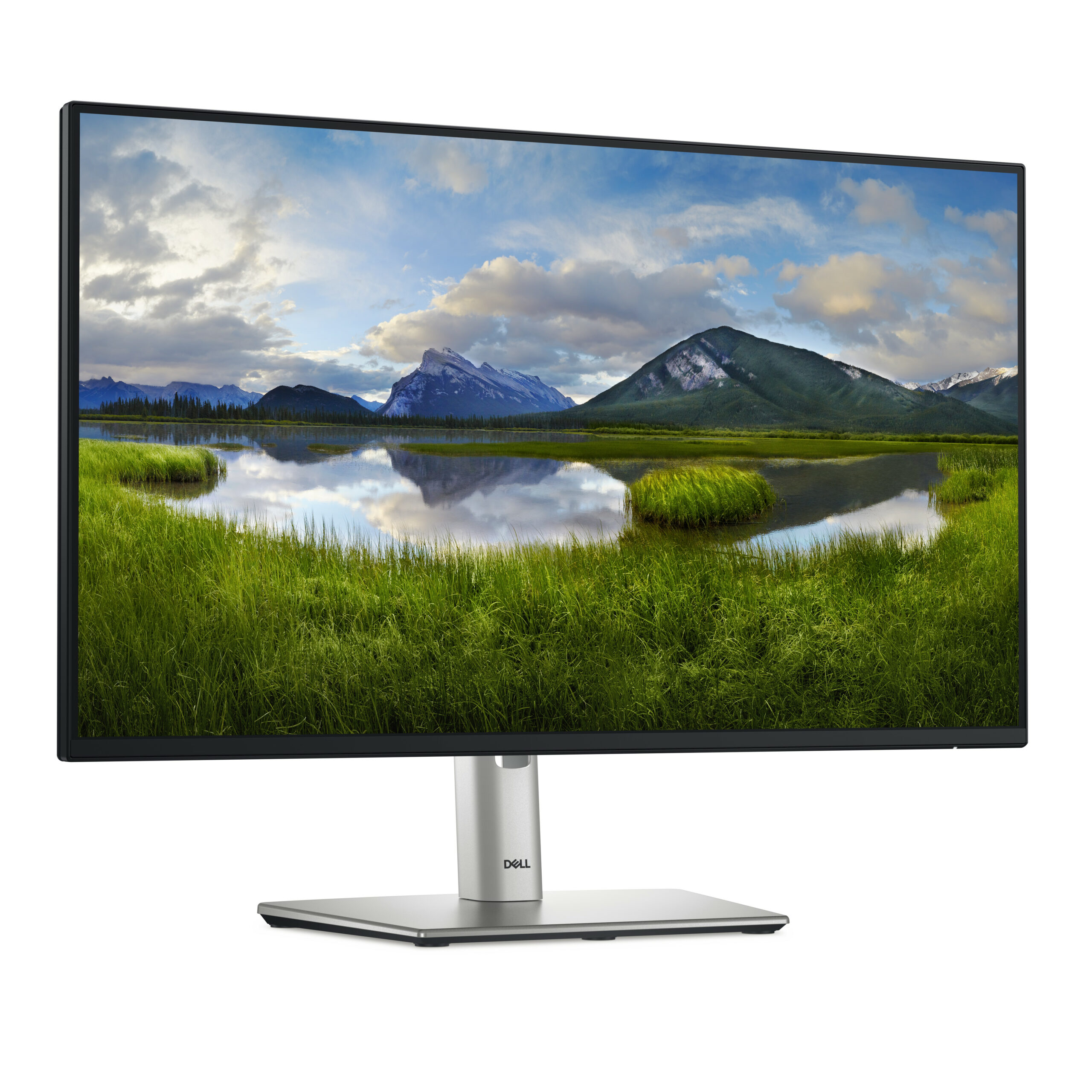 DELL 23.8 IPS MONITOR P2425HE - Image 3