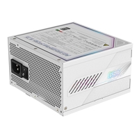 Gigabyte AORUS ELITE ICE 850W White PSU - Fully Modular - Image 3