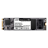 Team MS30 (TM8PS7256G0C101) 256GB, M.2 Sata Interface,Read 550MB/s, Write 470MB/s, 3 Year Warranty