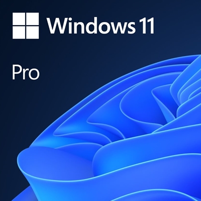 Microsoft Windows 11 Professional 64bit English OEI DVD Operating Software OEM - Image 2